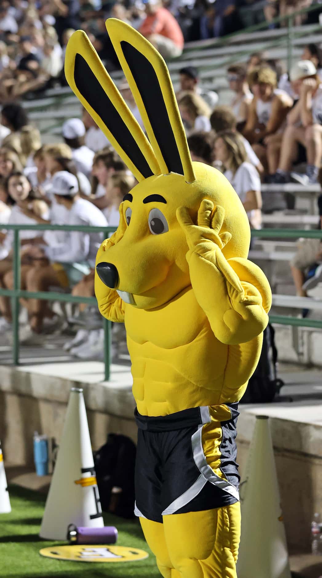 The Forney high Jackrabbit mascot can’t seem to believe it, as the team pulls ahead of...