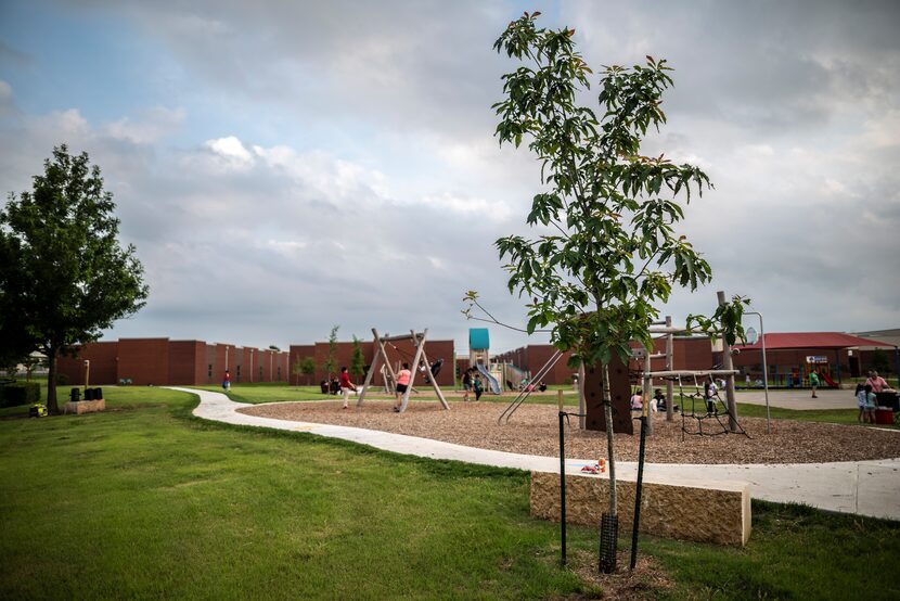 The Cool School Neighborhood Parks initiative includes planting a variety of Texas native...