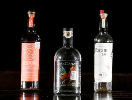 Try these next time you want a cocktail with a kick: La Venenosa Raicilla, Ocho Ceintos...