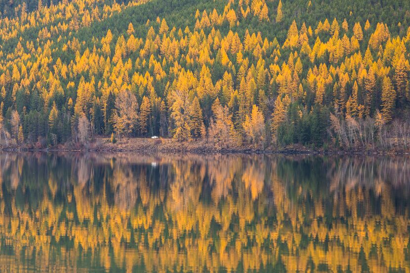 A car takes an autumn drive along Lake McDonald, the largest body of water in Glacier...