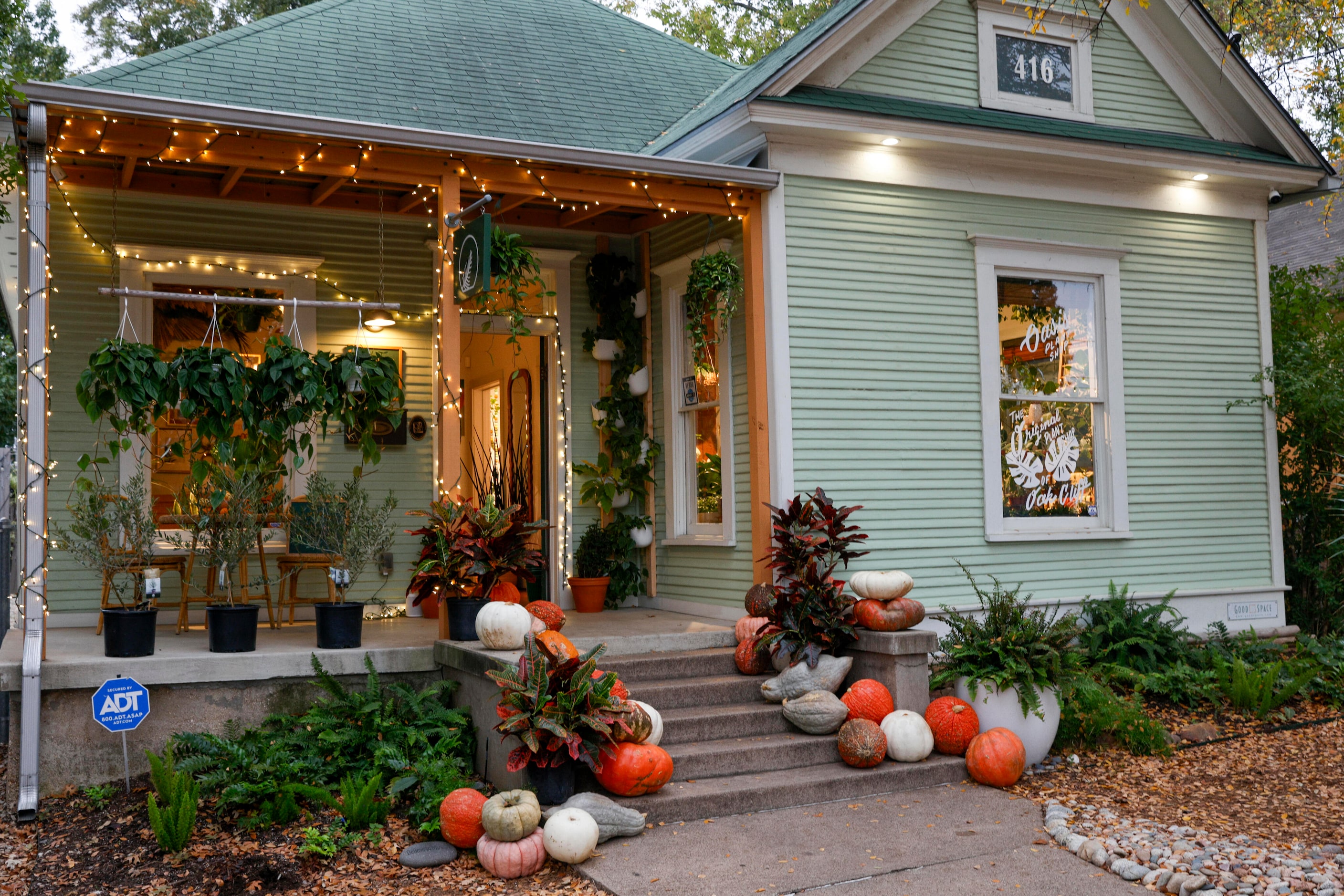 Oasis Plant Shop pictured along 8th Street in Bishop Arts, Thursday, Nov. 16, 2023, in...