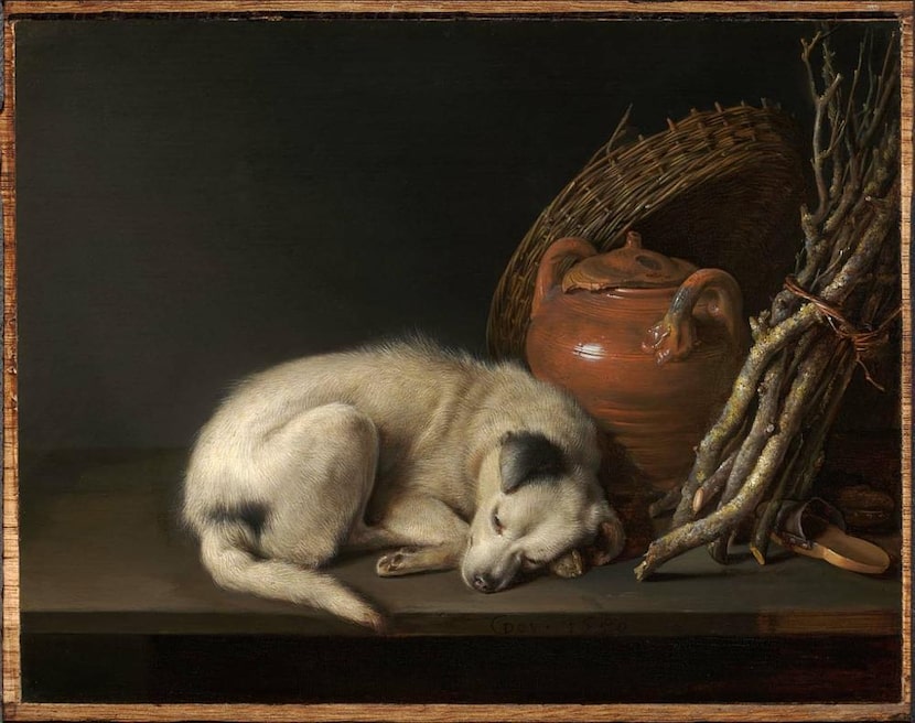 Gerrit Dou's 1650 oil painting "Dog at Rest" is included in the exhibition at the Kimbell...