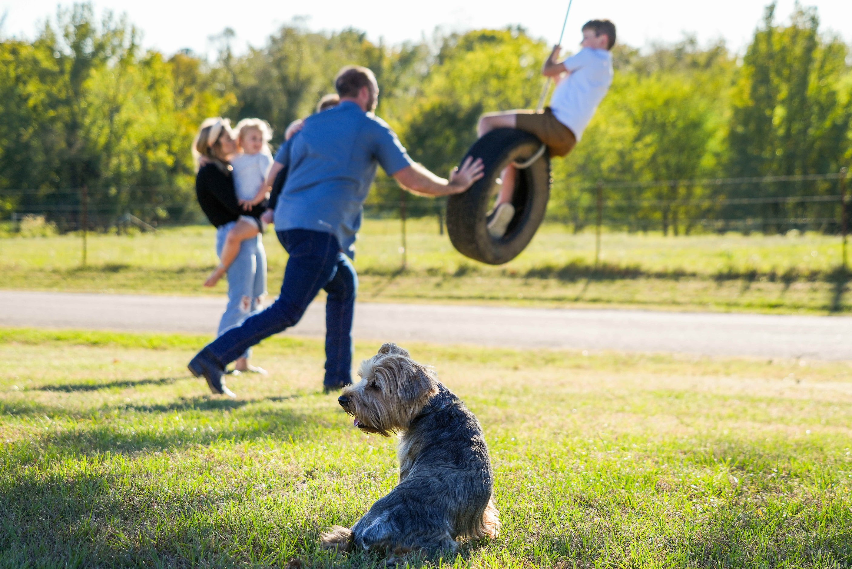 As one of the family’s dogs looks on, Aaron Rolen pushes his son Reid, 9, on a tire swing...