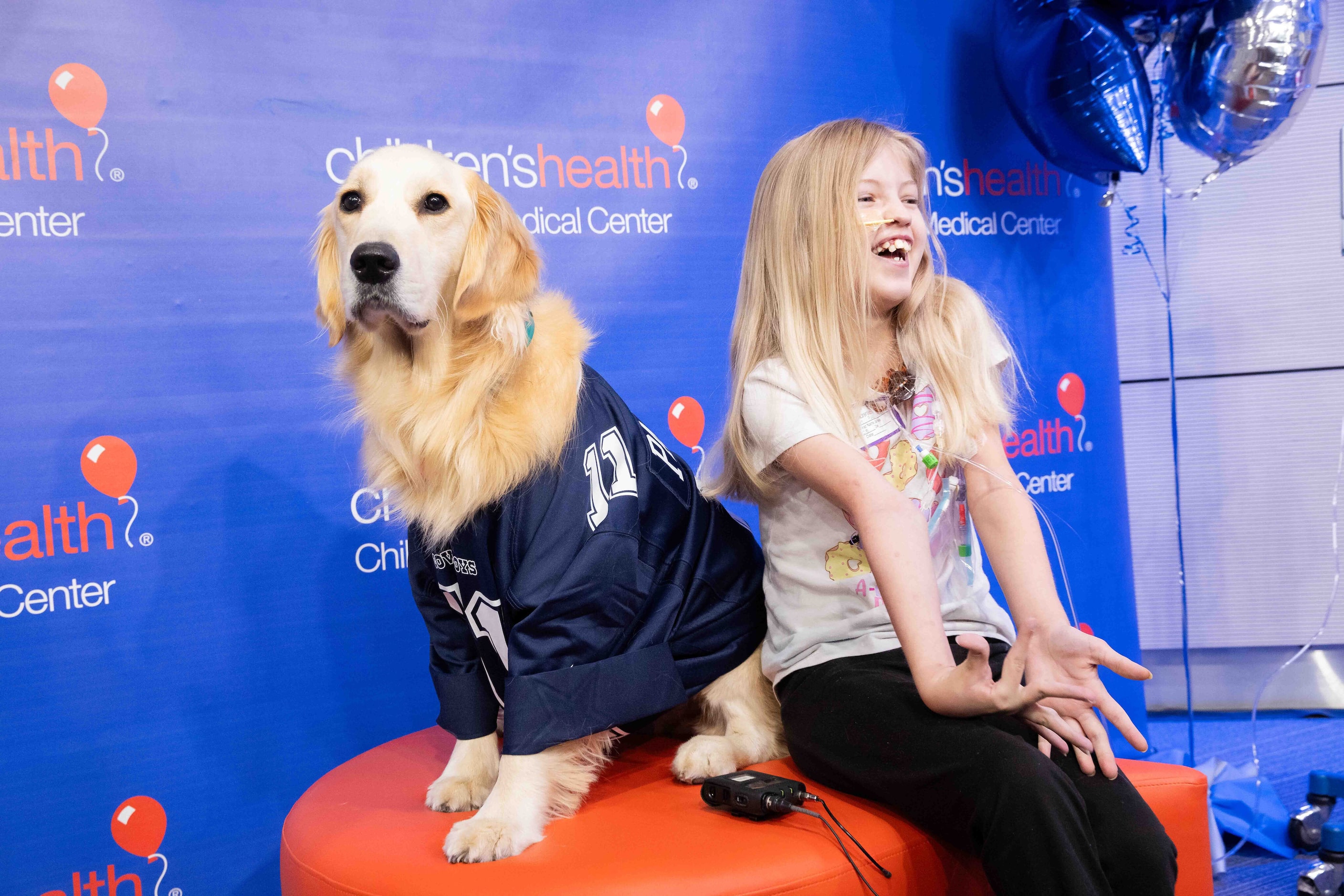 Hospital facility dog Maze in her Dallas Cowboys linebacker Micah Parsons (11) jersey sits...