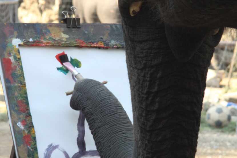 At the Maesa Elephant Camp in Chang Mai, Thailand, five elephants show off their artistic...