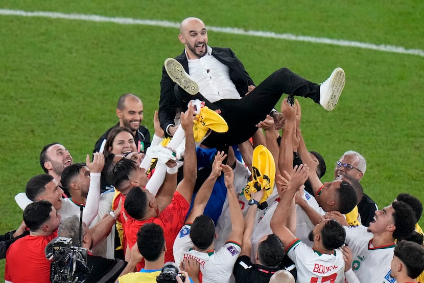 Morocco players celebrate by tossing the head coach Walid Regragui into the air at the end...