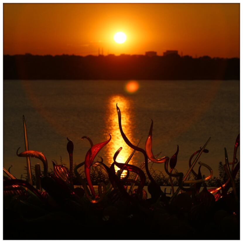 Chihuly's Carnival Boat is seen at sunset, Thursday,  at the Dallas Arboretum. Photographed...