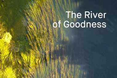 Cover of "The River of Goodness," by David Marquis.