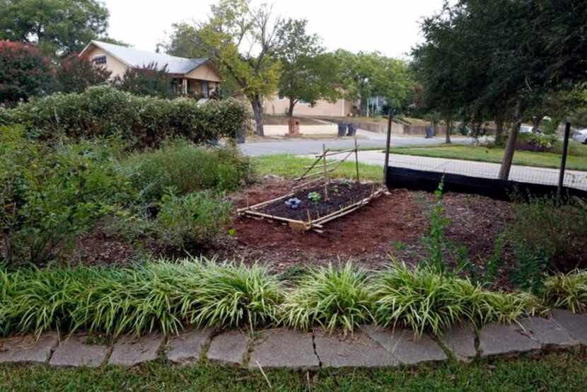 
Stefanowicz also has made a small raised bed on a plot of land behind his apartment. 
