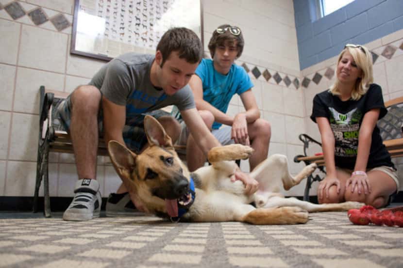 Roy Gardenhire (from left), Trevor Patton and Robin Wooten get to know a German shepherd...