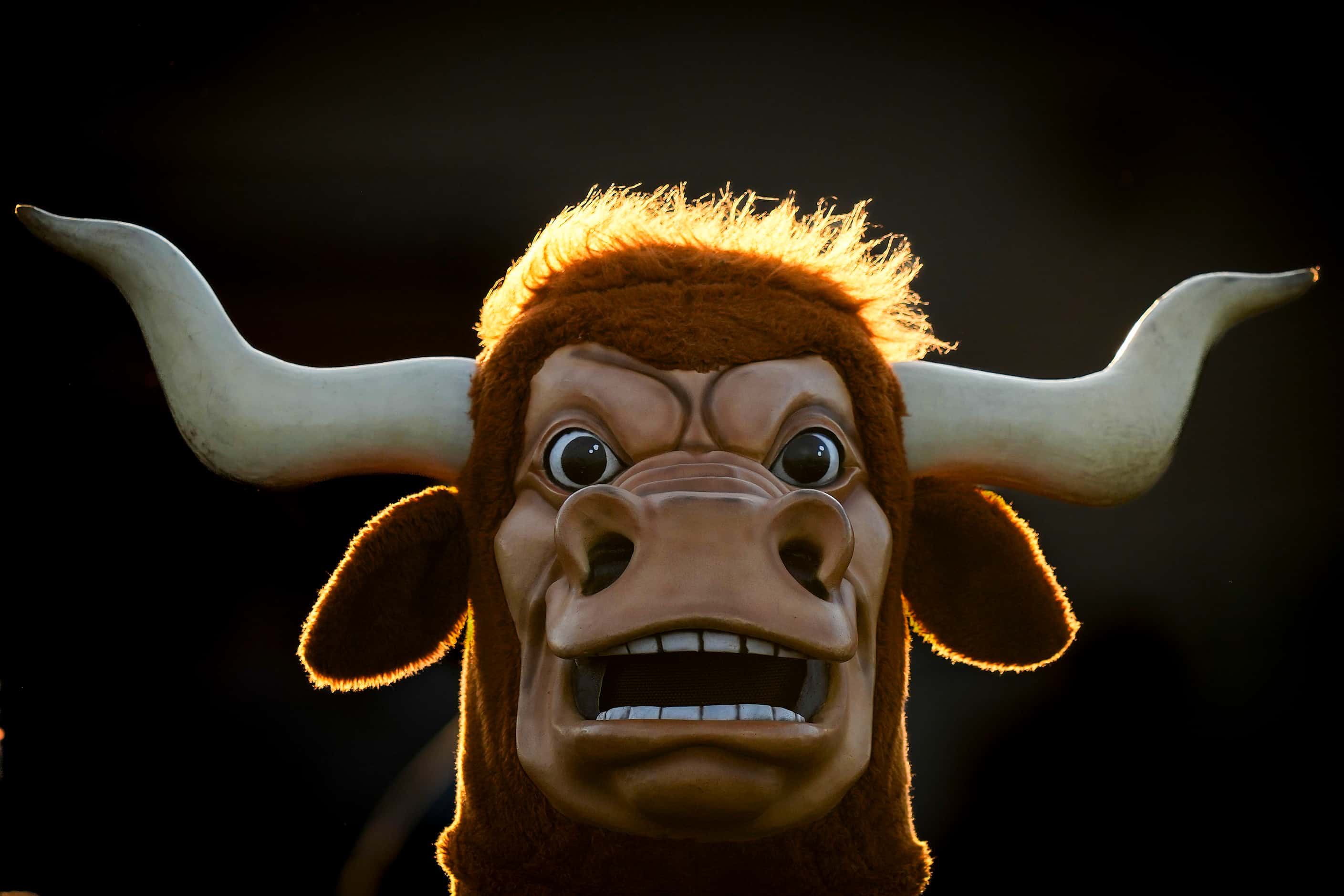 The Cedar Hill Longhorns mascot is highlighted by the last rays of the setting sun before a...