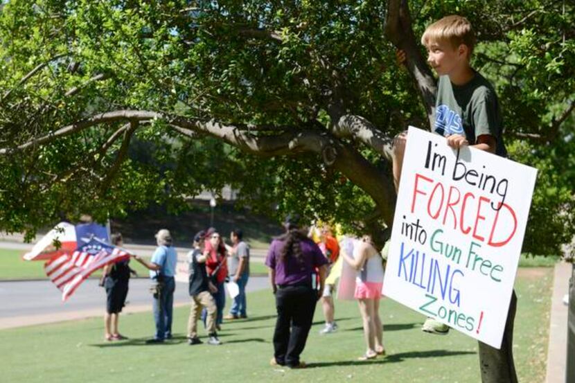 
Carson Davis, 9, perched in a tree during Saturday’s open-carry rally in Dealey Plaza....