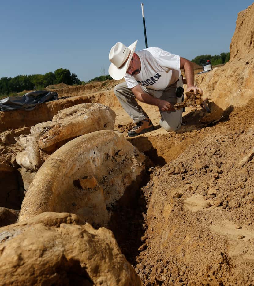 Ron S. Tykoski, a fossil preparator for the Perot Museum of Nature and Science, excavates a...