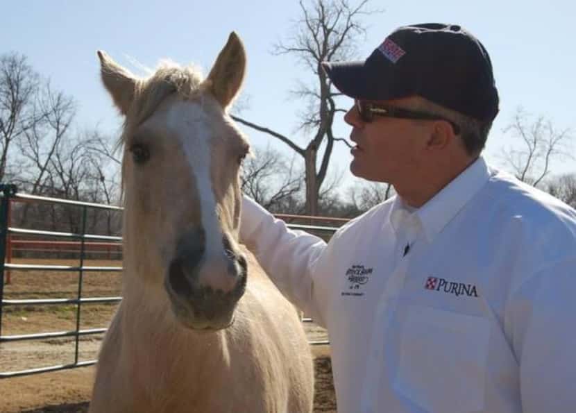 Mustang Mentors for Veterans program came to the Las Colinas Equestrian Center.