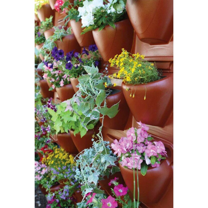 
The PlantScape Terra Vertical Garden at Sam’s can be attached to a fence or wall and...