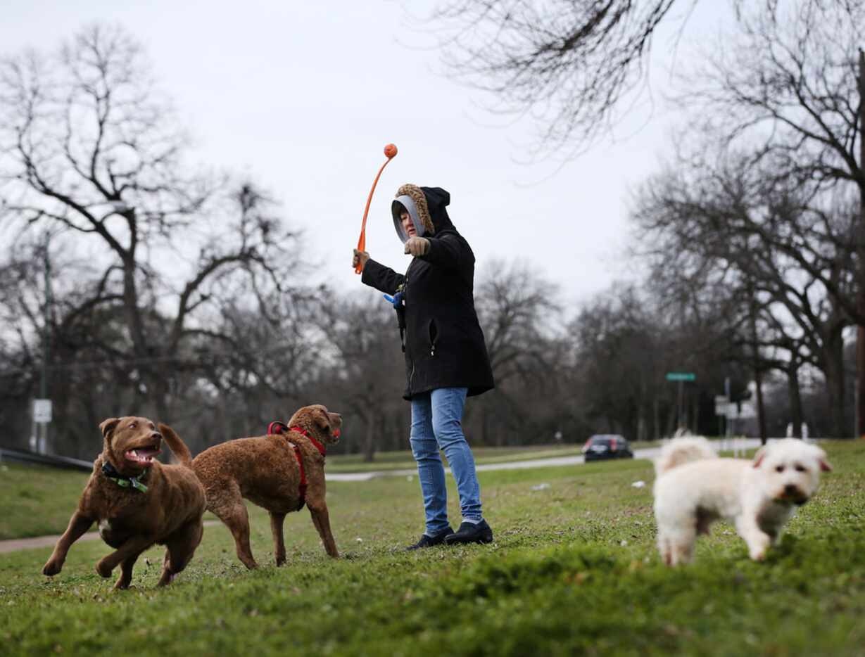 Melanie Wisniewski plays fetch with her dogs (from left) Nibbles, Cassia and Howard in...