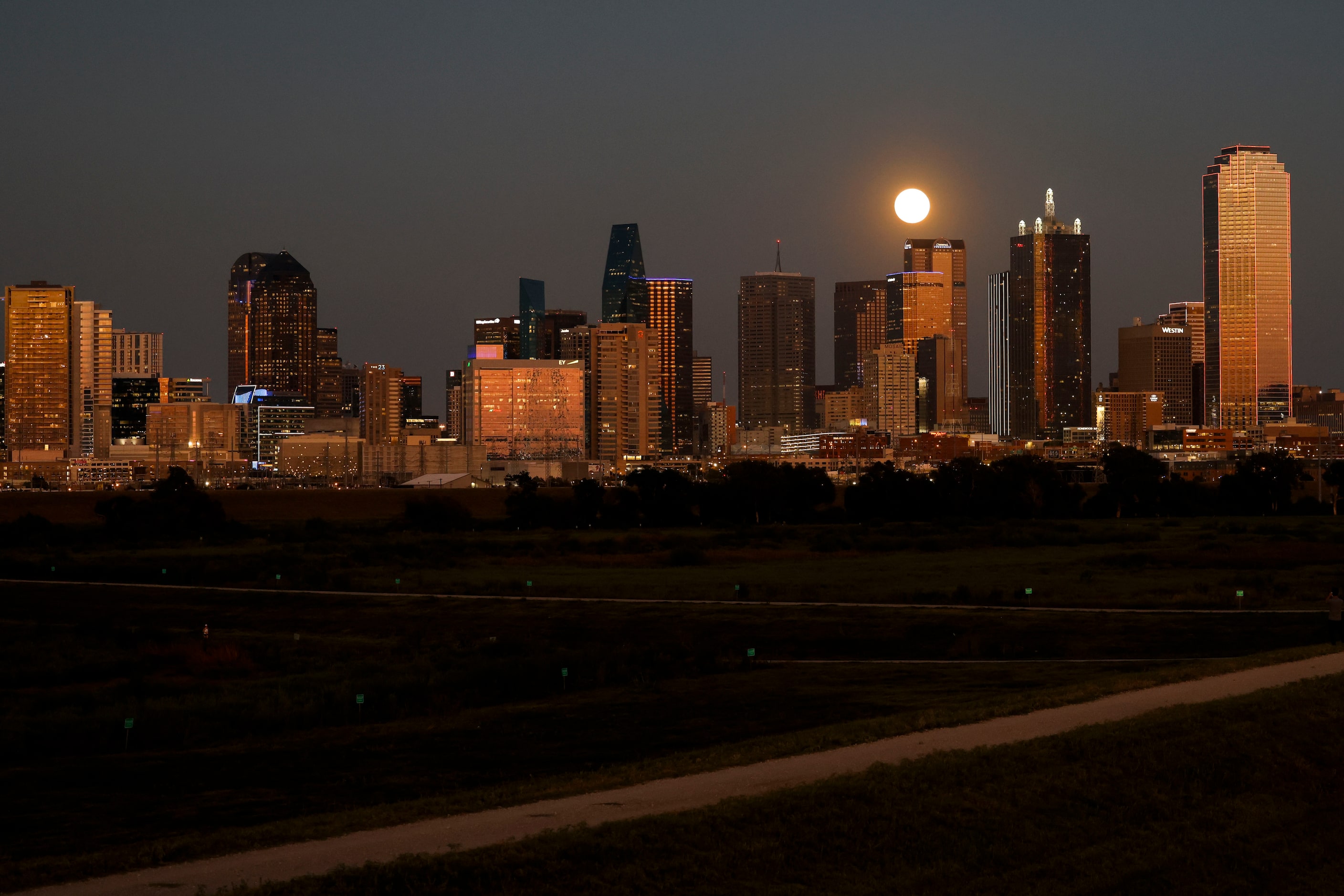 The Dallas skyline is illuminated as a full super harvest moon rises, on Tuesday, Sept. 17,...