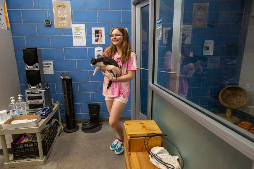 Destini Gutierrez holds Zorro the cat at the Dallas Animal Services facility on Thursday. 