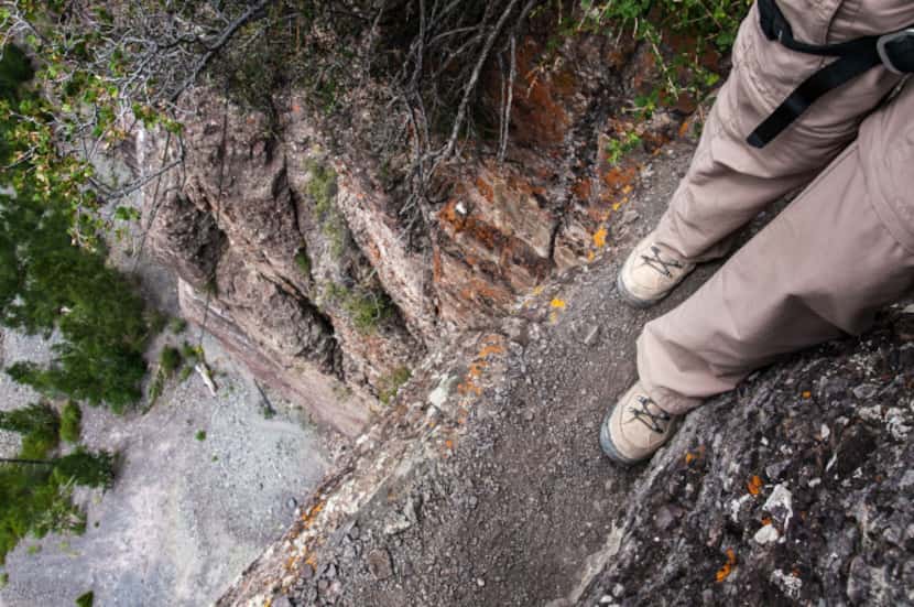 Telluride's Via Ferrata follows a ledge that is less than a foot wide in places.  Hikers...