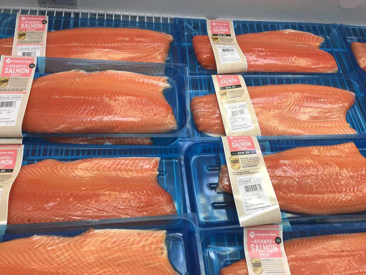 Salmon at the Sam's Club in Springdale, Ark. The company has a new seafood buyer. Sam's...