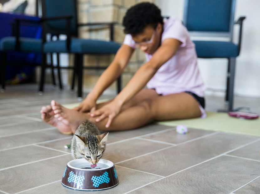 A kitten takes a sip of water near Keeiona Burnett as she does yoga. 