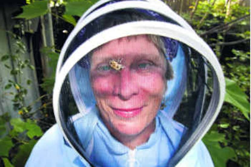  A honeybee takes a stroll across the face netting of beekeeper Susan Pollard. 