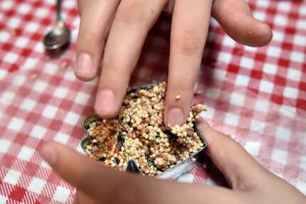 Stella Suek, 9, presses birdseed and mixed ingredients into a cooking cutter.