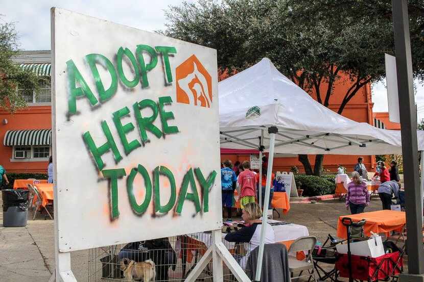 East Lake Pet Orphanage's annual Pet Fair is Saturday.