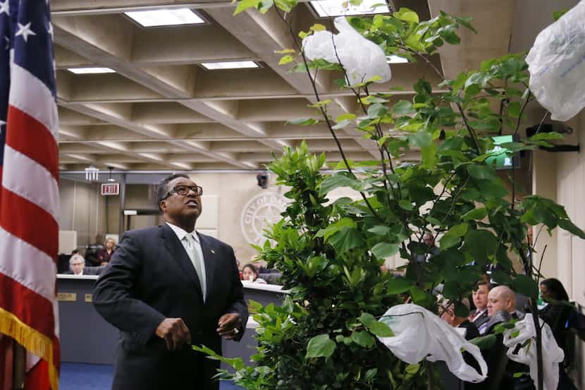 Council Member Dwaine Caraway looked  at plastic bags hanging from a plant during a City...