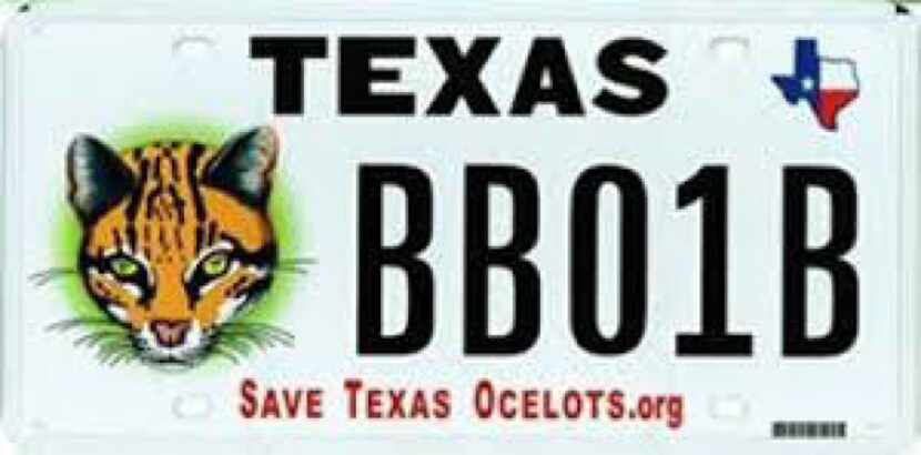 For backers of the Save Texas Ocelots cause.