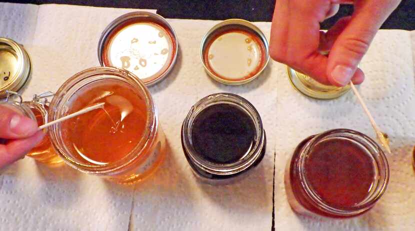 Tasting honey at the Trinity Valley Beekeepers Association honey tasting event.