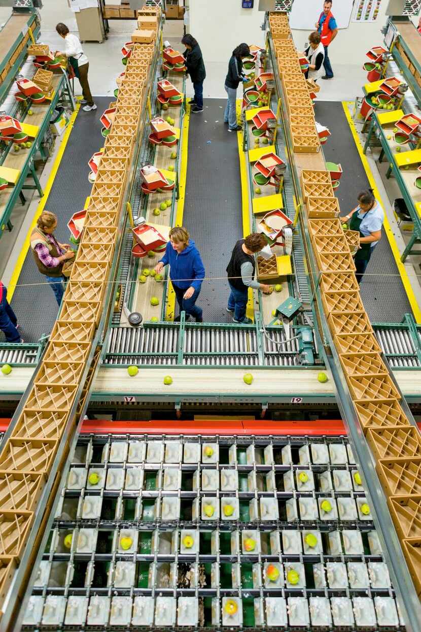 In the warehouse,  visitors see the sorting and packing of Harry & David’s Royal Rivieria...