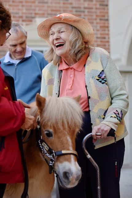 Mary Wurmstedt, 86, laughts while petting a miniature horse at The Preston of the Park...