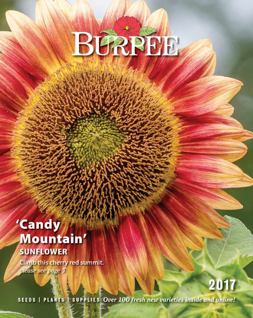 Burpee 2017 seed catalog 