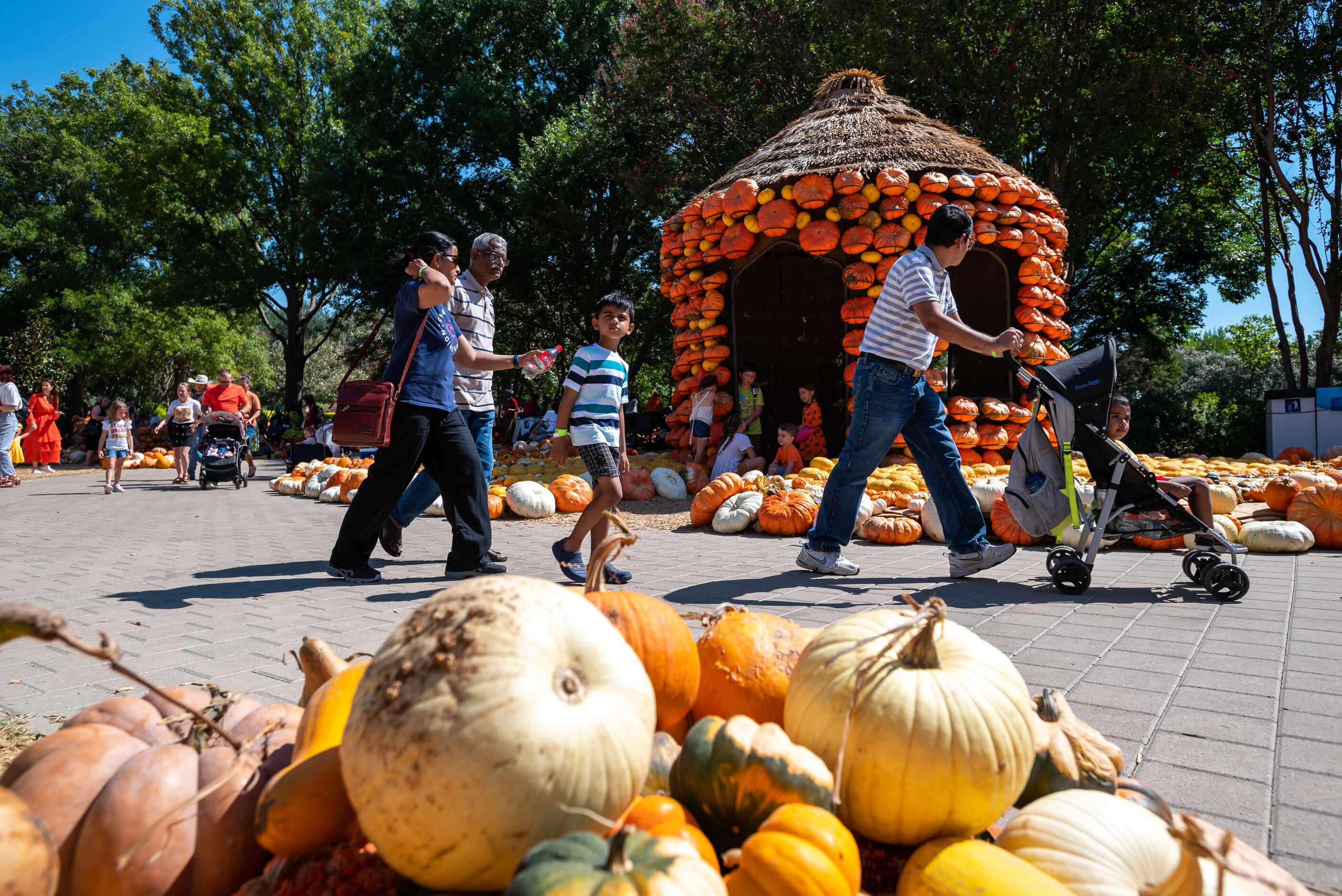 Visite las 100,000 calabazas del festival de otoño del Dallas Arboretum  este 2022