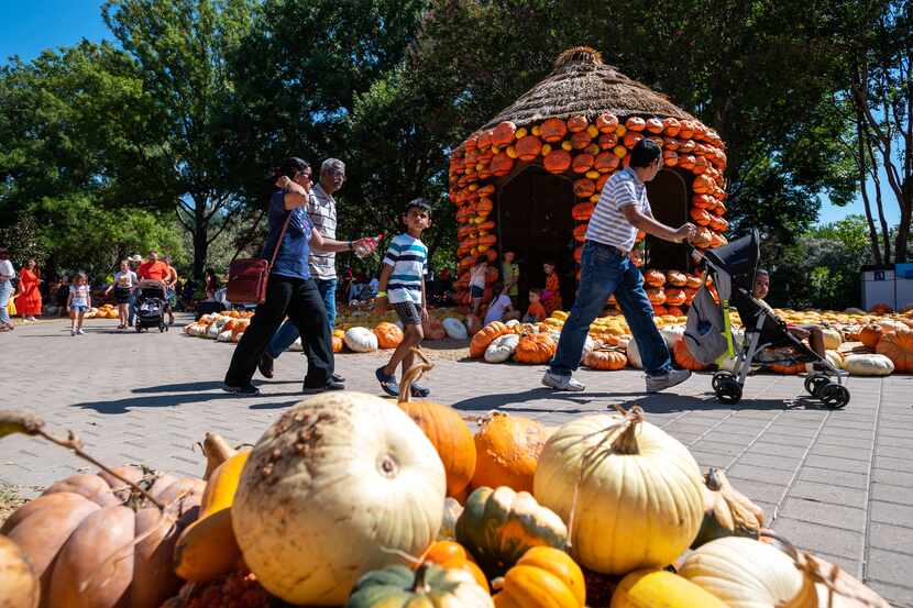 El Dallas Arboretum se viste de otoño con una villa de calabazas hasta el 31 de octubre.
