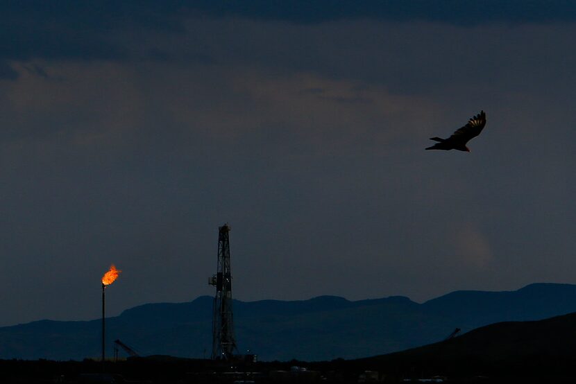 A vulture soars over an Apache Corp. flare and drilling rig north of the Davis Mountains in...