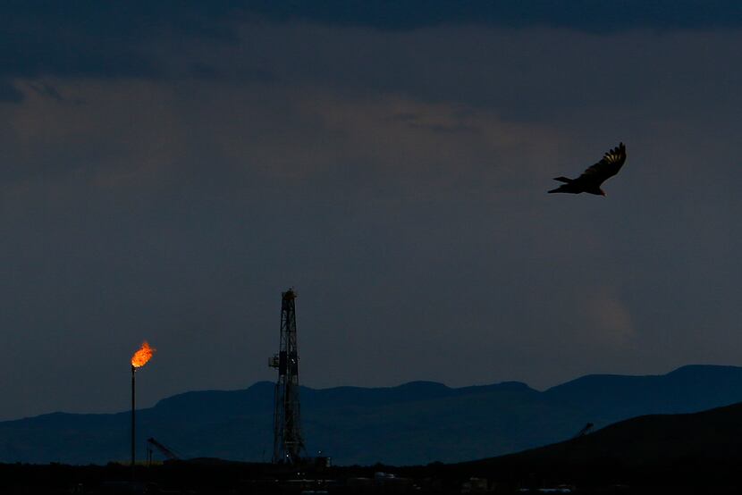 A vulture soars over an Apache Corp. flare and drilling rig north of the Davis Mountains in...