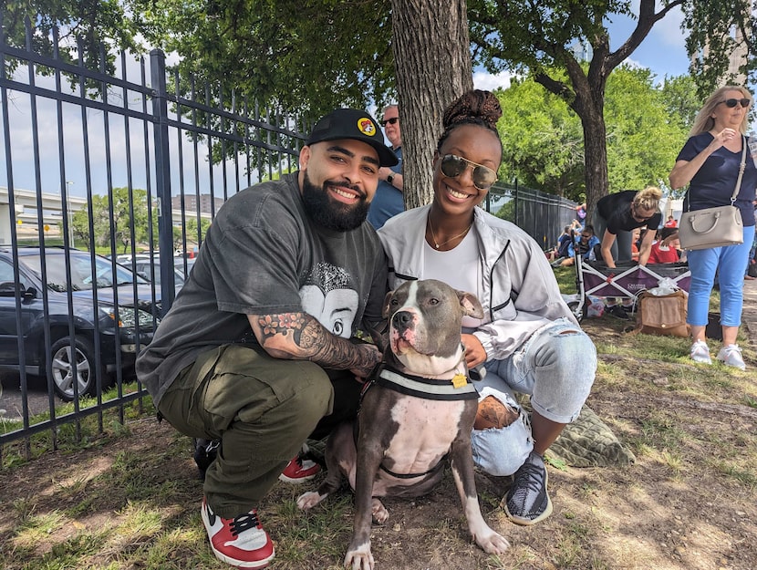 As partiality began, Donnie, a five-year-old Pit Bull finds shade under trees near Reunion...