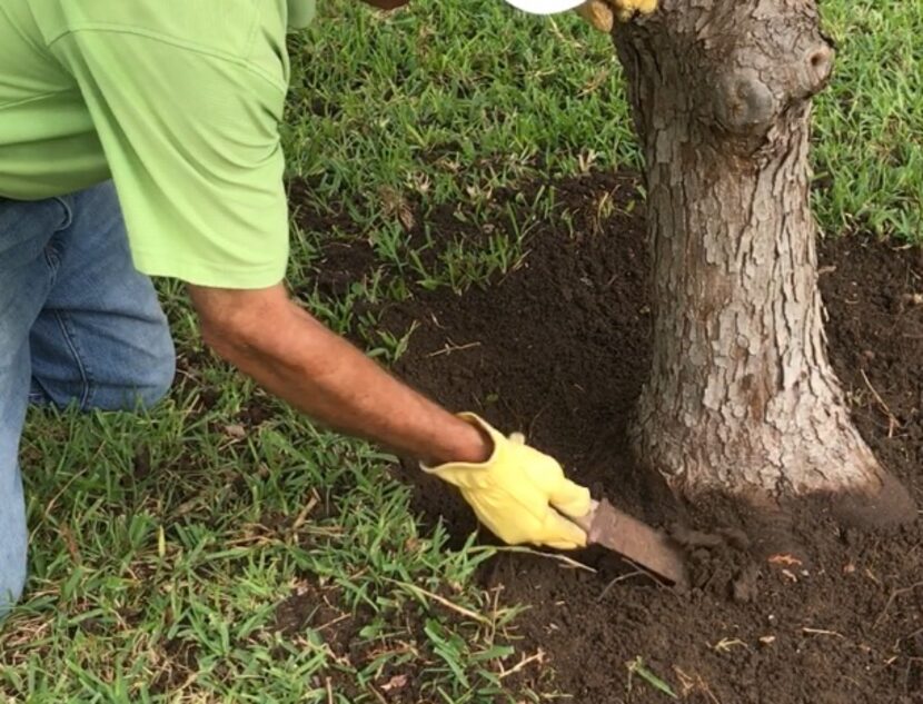 You can loosen soil with a hori hori knife before blowing or brushing it away. But hiring an...