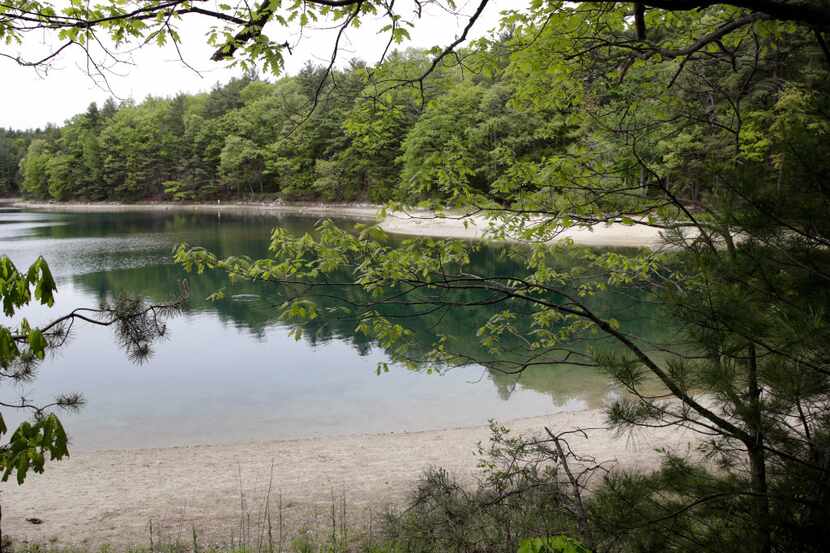 A view of the timeless Walden Pond  on May 23 in Concord, Mass. 