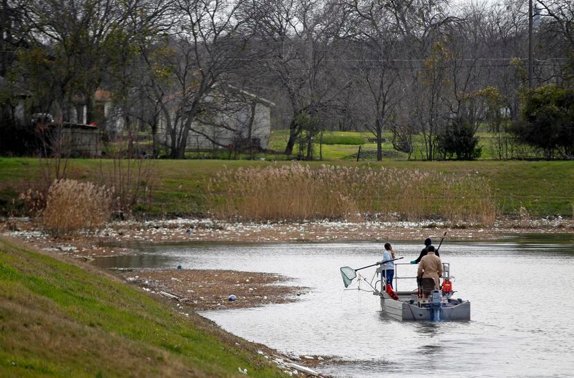 
The crew on the Magnolia Fisheries boat used 10 to 12 amps to stun the fish so they could...