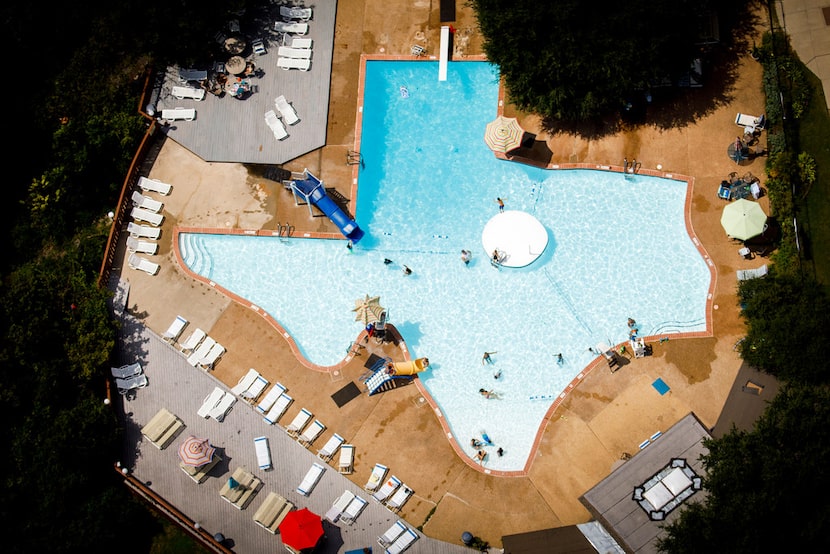 People swim at the Texas Pool on the Creek on Wednesday, Aug. 9, 2017, in Plano. 