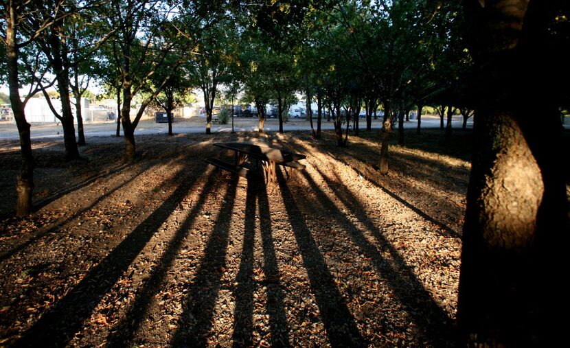 A picnic area along the White Rock Creek Trail in Dallas is close to the spot where David...