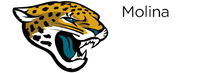 Molina's mascot looks awfully similar to the Jacksonville Jaguars.