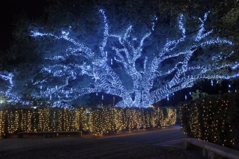 
The icicle tree is a crowd favorite at the Celebration in the Oaks at New Orleans’ City Park.
