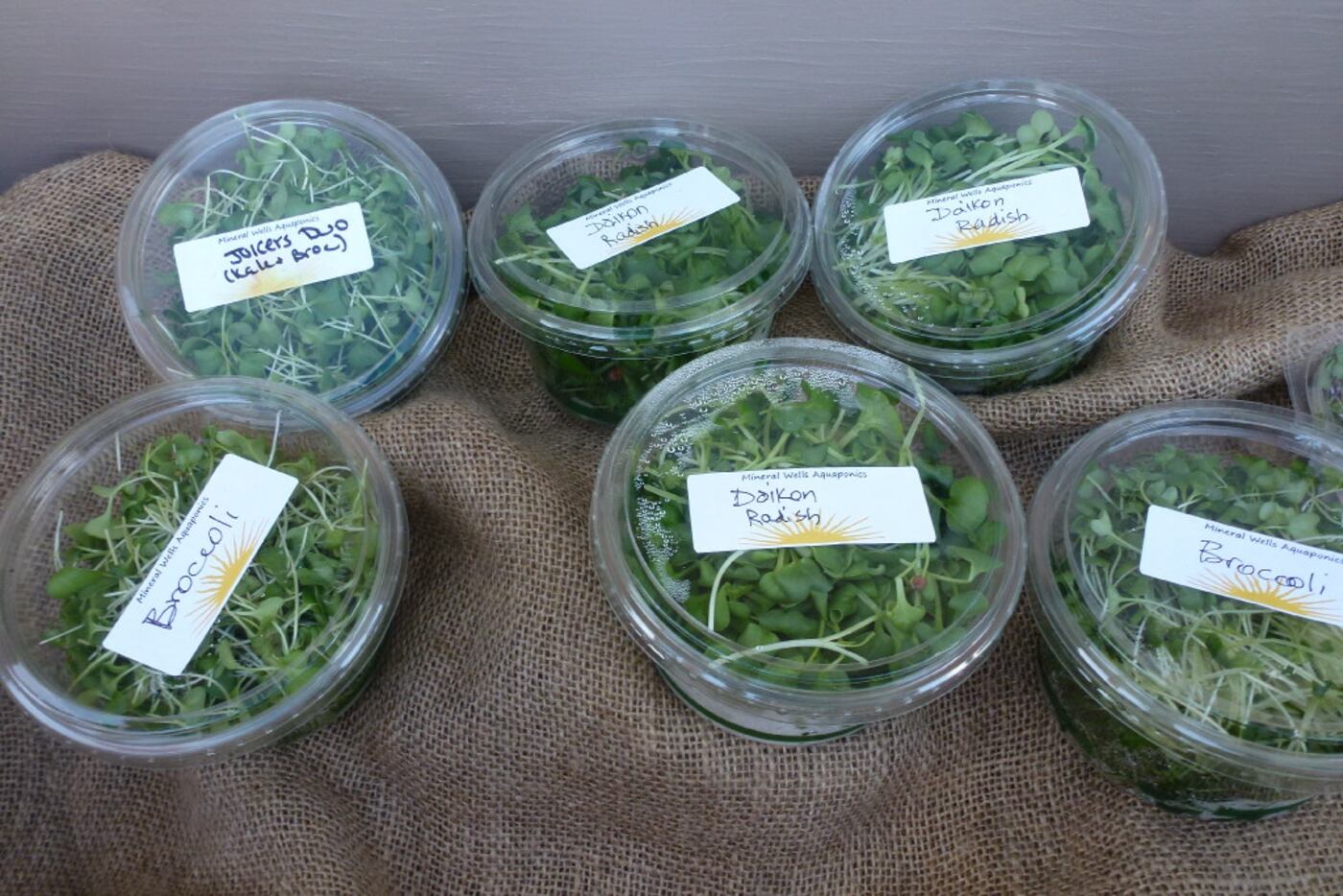 Turley's Fruity and Veggie Farm in Venus also sells microgreens at Cowtown Farmers Market in...