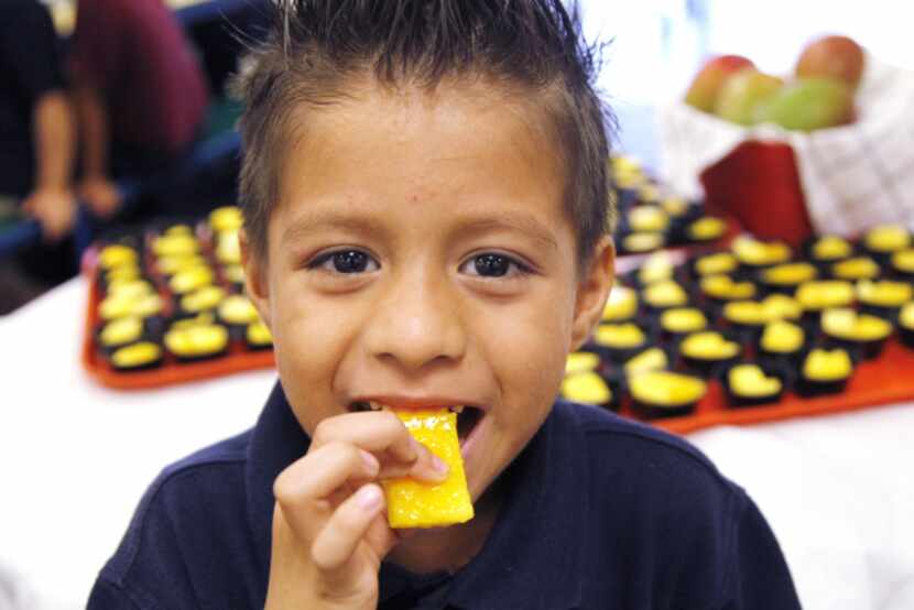 Gabriel Padron samples a piece of mango with his classmates at Brandenburg Elementary...
