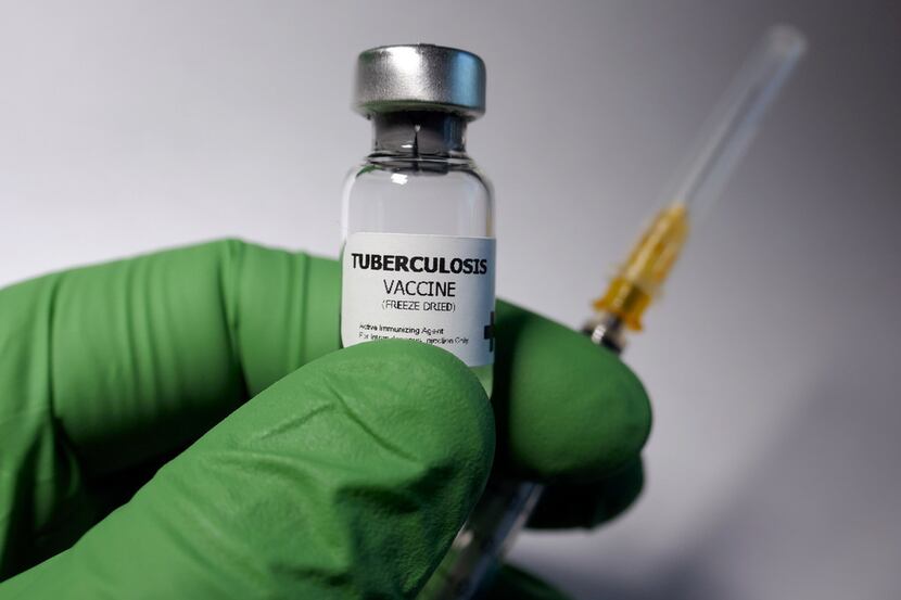 Tuberculosis vaccine.