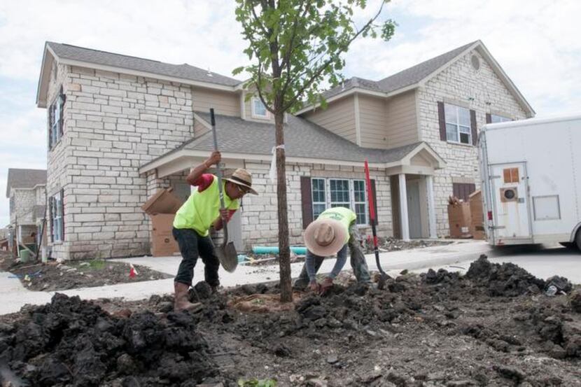 
Workers plant trees at the Riverstone Trails Townhomes in Sunnyvale on June 20. Sunnyvale’s...